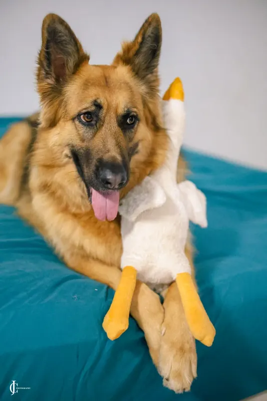 Rani holding her goose plush